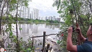Челлендж 7 дней рыбалки на реке Сайгон, день 4 на новой очищенной точке