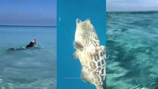 Куба подводная охота на чёрного groupers трейлер к фильму о морской рыбалке