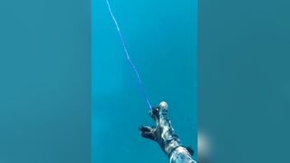 Грандиозный трофей от друга: подводная охота на Кубе и крупная рыба прямо со скал и рифов