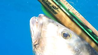 Грандиозный трофей от друга: подводная охота на Кубе и крупная рыба прямо со скал и рифов