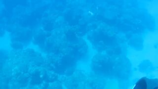 Грандиозный трофей от друга: подводная охота на Кубе и крупная рыба прямо со скал и рифов