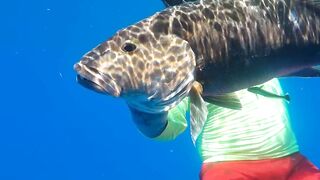 Грандиозный трофей от друга: подводная охота на Кубе и крупная рыба прямо со скал и рифов