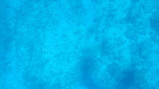 Грандиозный трофей от друга: подводная охота на Кубе и крупная рыба прямо со скал и рифов