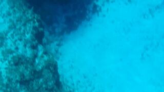 Грандиозный трофей от друга: подводная охота на Кубе и крупная рыба прямо со скал и рифов