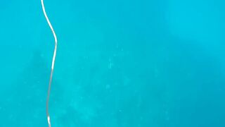 Грандиозный трофей от друга: подводная охота на Кубе и крупная рыба прямо со скал и рифов