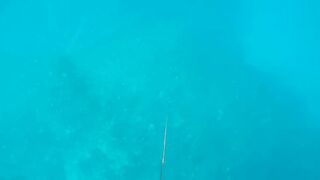 Грандиозный трофей от друга: подводная охота на Кубе и крупная рыба прямо со скал и рифов