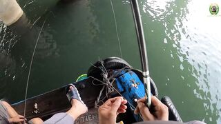 Phan Thiet жирная точка по cá rìa и cá nâu рыбалка с пирса когда клюет почти на каждый заброс