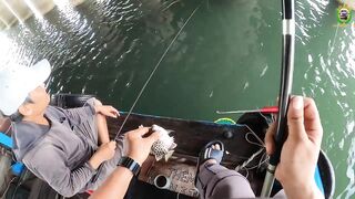 Phan Thiet жирная точка по cá rìa и cá nâu рыбалка с пирса когда клюет почти на каждый заброс