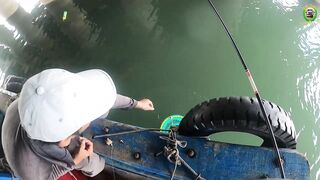 Phan Thiet жирная точка по cá rìa и cá nâu рыбалка с пирса когда клюет почти на каждый заброс