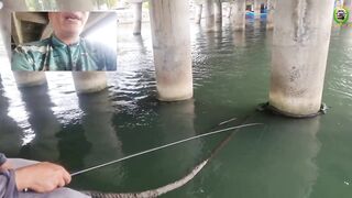 Phan Thiet жирная точка по cá rìa и cá nâu рыбалка с пирса когда клюет почти на каждый заброс