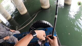 Phan Thiet жирная точка по cá rìa и cá nâu рыбалка с пирса когда клюет почти на каждый заброс