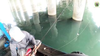 Phan Thiet жирная точка по cá rìa и cá nâu рыбалка с пирса когда клюет почти на каждый заброс