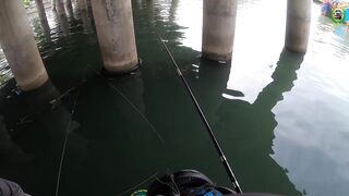 Phan Thiet жирная точка по cá rìa и cá nâu рыбалка с пирса когда клюет почти на каждый заброс