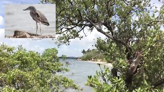 Куба: приключение взглядом с моря и мысли о рыбалке в Карибском бассейне