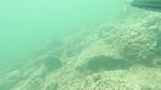 Мои любимые места для рыбалки на Кубе Pesca Sub en Cuba 2025 c Eulise Alonso и семьей