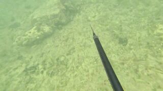 Мои любимые места для рыбалки на Кубе Pesca Sub en Cuba 2025 c Eulise Alonso и семьей