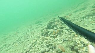 Мои любимые места для рыбалки на Кубе Pesca Sub en Cuba 2025 c Eulise Alonso и семьей