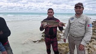 Мои любимые места для рыбалки на Кубе Pesca Sub en Cuba 2025 c Eulise Alonso и семьей