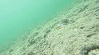 Мои любимые места для рыбалки на Кубе Pesca Sub en Cuba 2025 c Eulise Alonso и семьей