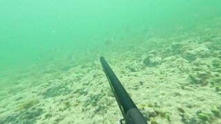 Мои любимые места для рыбалки на Кубе Pesca Sub en Cuba 2025 c Eulise Alonso и семьей