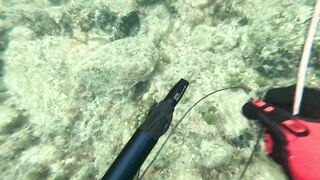 Мои любимые места для рыбалки на Кубе Pesca Sub en Cuba 2025 c Eulise Alonso и семьей