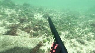 Мои любимые места для рыбалки на Кубе Pesca Sub en Cuba 2025 c Eulise Alonso и семьей