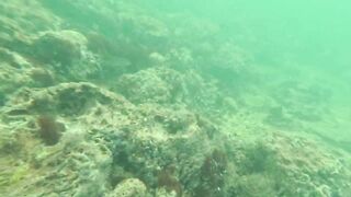 Мои любимые места для рыбалки на Кубе Pesca Sub en Cuba 2025 c Eulise Alonso и семьей