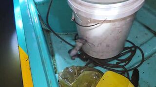 Соктранг Вьетнам: ночная донная рыбалка на поставушки и первый речной монстр