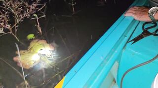 Соктранг Вьетнам: ночная донная рыбалка на поставушки и первый речной монстр