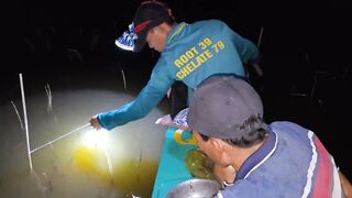 Соктранг Вьетнам: ночная донная рыбалка на поставушки и первый речной монстр