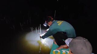 Соктранг Вьетнам: ночная донная рыбалка на поставушки и первый речной монстр