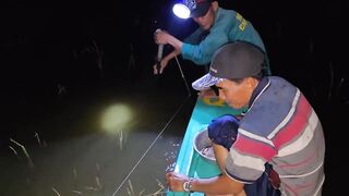 Соктранг Вьетнам: ночная донная рыбалка на поставушки и первый речной монстр