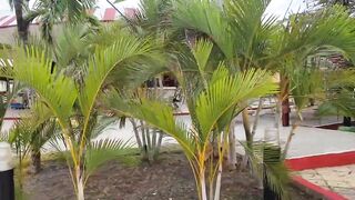 Guardalavaca пляжный променад Кубы прогулка по берегу и мысли о рыбалке