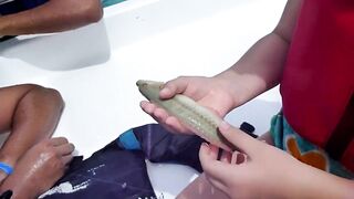 Cuba Holguin рыба catch and release спортивная рыбалка и отпуск трофеев