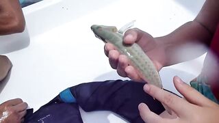 Cuba Holguin рыба catch and release спортивная рыбалка и отпуск трофеев