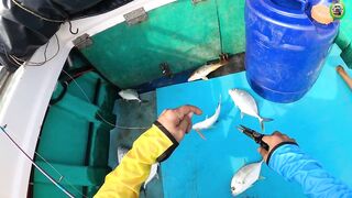 Морская рыбалка в Phan Thiet мини джиг у берега NOWA Resort по cá bè cá mú и cá hồng