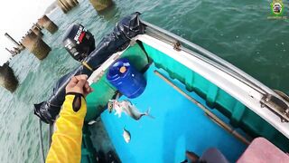 Морская рыбалка в Phan Thiet мини джиг у берега NOWA Resort по cá bè cá mú и cá hồng