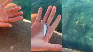 Морская рыбалка в Гурзуфе Чёрное море вечерний выход на камни и первые поклевки у волнореза