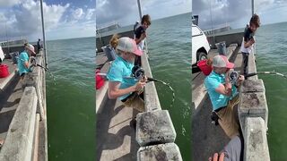 Монстр groupers под пирсом мощная морская рыбалка прямо из тени свай