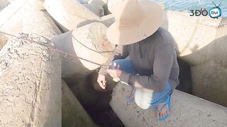 Морская рыбалка у входа в порт Phan Thiet сильное течение и активная рыба