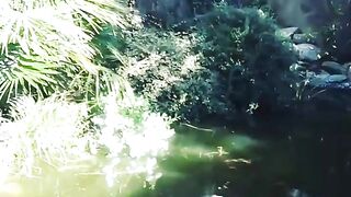 Кормление гурзуфских рыбок и секретное желание снова выйти на рыбалку