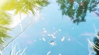 Кормление гурзуфских рыбок и секретное желание снова выйти на рыбалку