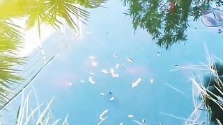 Кормление гурзуфских рыбок и секретное желание снова выйти на рыбалку