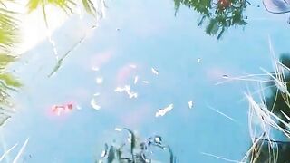 Кормление гурзуфских рыбок и секретное желание снова выйти на рыбалку