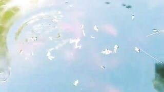 Кормление гурзуфских рыбок и секретное желание снова выйти на рыбалку