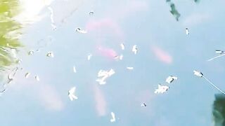 Кормление гурзуфских рыбок и секретное желание снова выйти на рыбалку