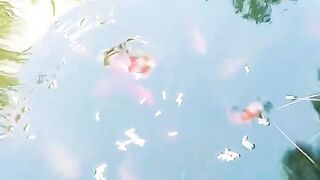 Кормление гурзуфских рыбок и секретное желание снова выйти на рыбалку