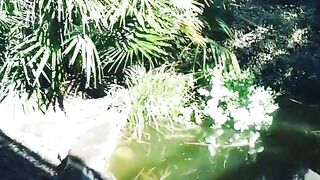 Кормление гурзуфских рыбок и секретное желание снова выйти на рыбалку