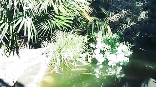 Кормление гурзуфских рыбок и секретное желание снова выйти на рыбалку