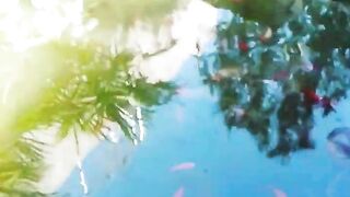 Кормление гурзуфских рыбок и секретное желание снова выйти на рыбалку